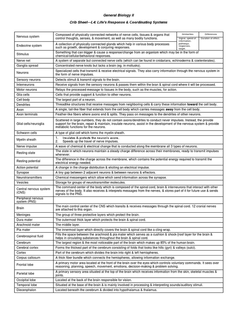 General Biology II Crib Sheet (Mtes) | PDF | Neuron | Nervous System