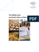 Download The Middle East and North Africa at Risk 2010 by World Economic Forum SN40140073 doc pdf