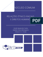 Relações Étnico-Raciais e Direitos Humanos
