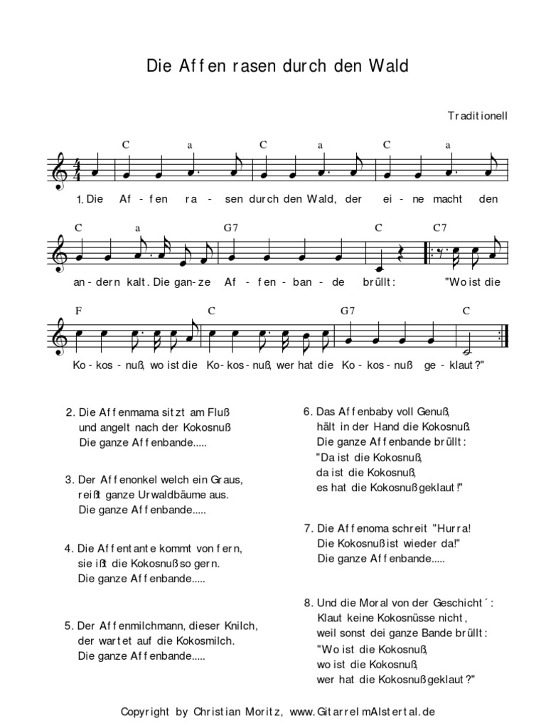 Die Affen Rasen Durch Den Wald