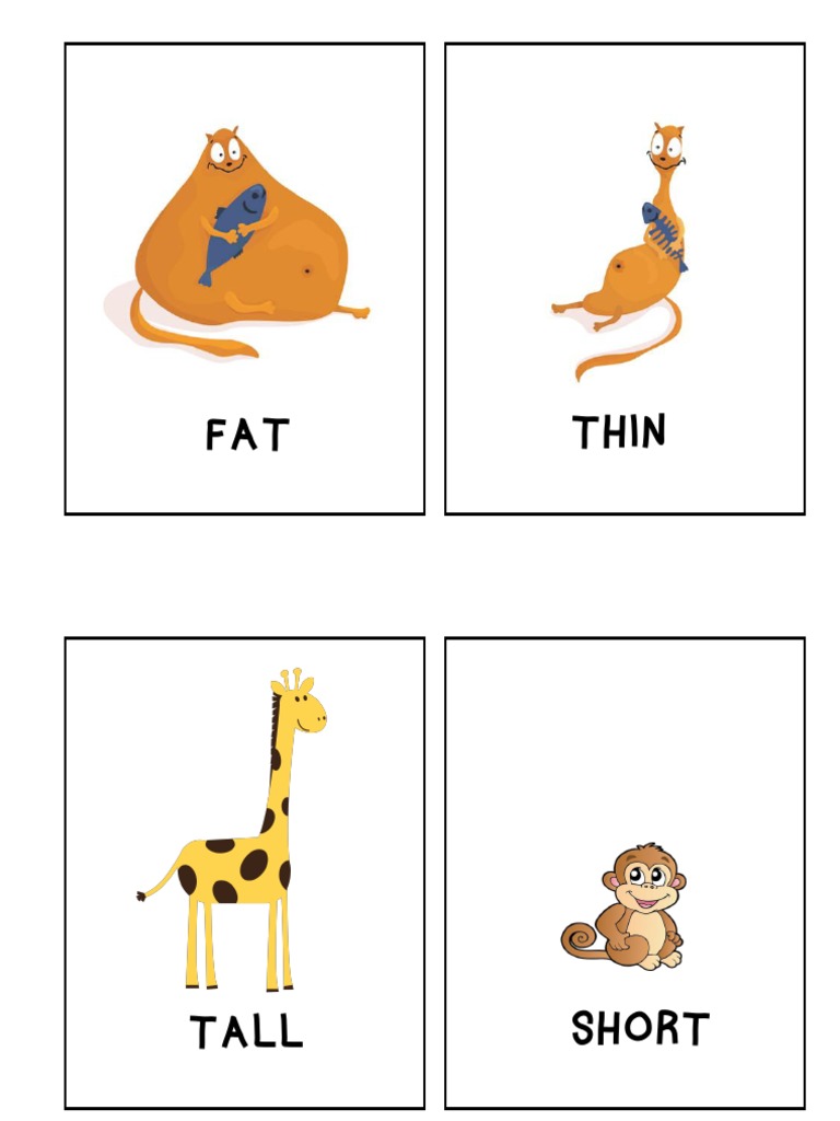 Flashcards - Tall Short Fat Thin | PDF