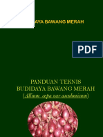 Dokumen - Tips - Panduan Teknis Budidaya Bawang Merah Allium Cepa Var Ascolonicum