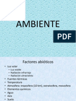 10 Ambiente