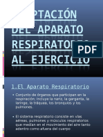 Adaptacion Del Aparato Respiratorio Al Ejercicio