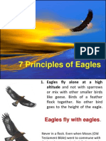 7 Principles of Eagles