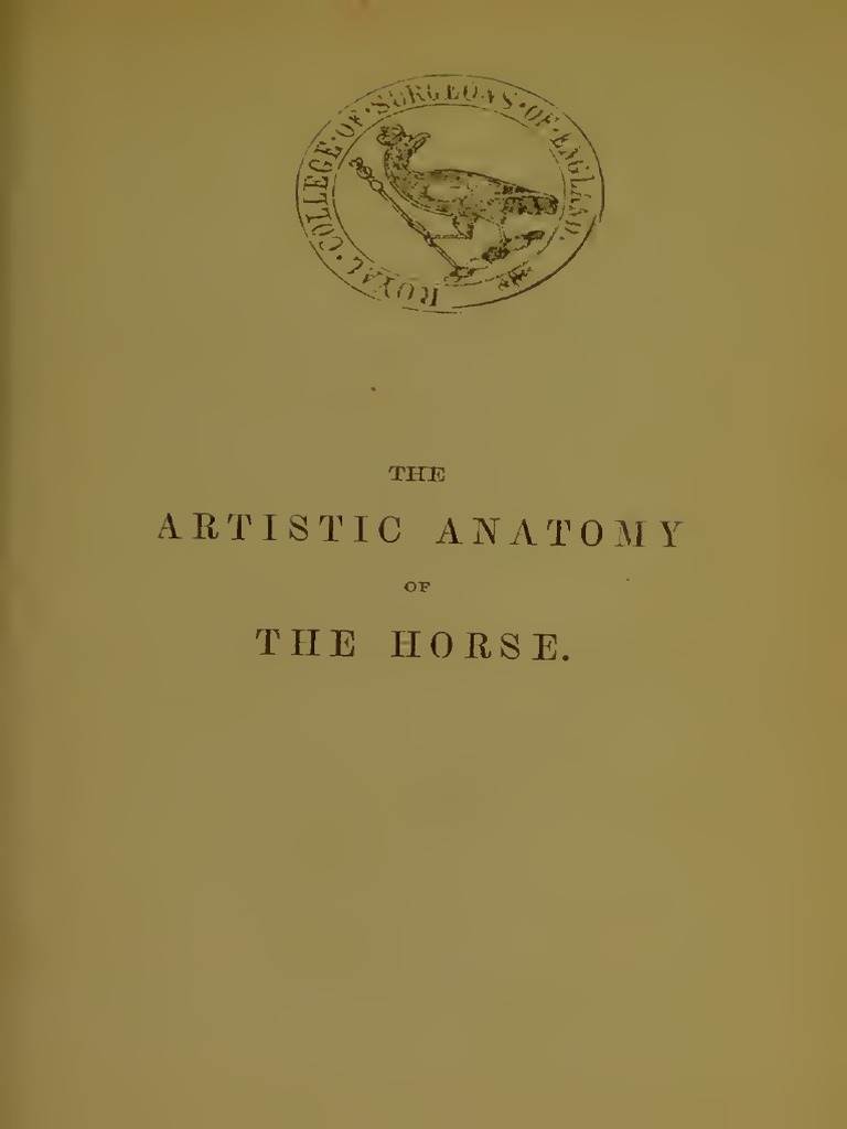 Anatomy of The Horse PDF | PDF | Vertebral Column | Vertebra