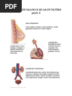 Dinâmicas-para-idosos-125-jogos-e-brincadeiras-adaptados-Cristina-Carvalho