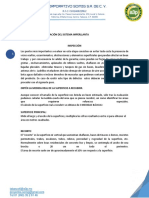 Instructivo Imperllantas PDF