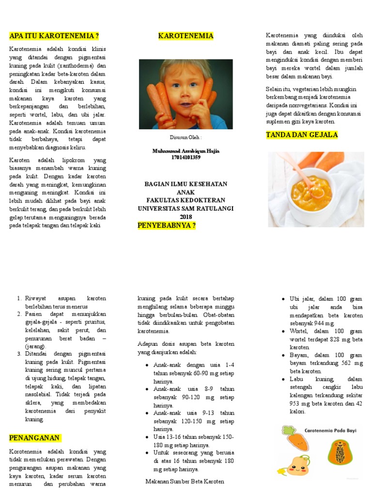 Heatlh Education | PDF | Kesehatan Holistik