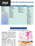 Micosis Superficiales y Cutáneas