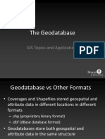 The Geodatabase: GIS Topics and Applications