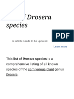 List of Drosera species under 40 characters