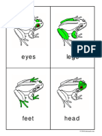 Frog Anatomy Nomenclature Cards