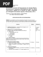 PROTOCOLO QUEMADO 2017