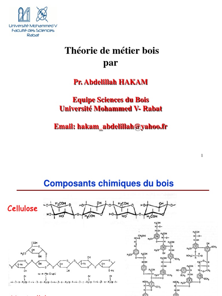 Anatomie et structure du bois | PDF | Lignine | Bois