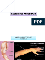 7 Antebrazo y Fosa Cubital PDF