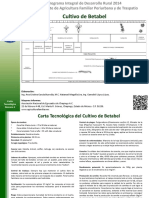 Betabel PDF