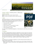 crotalaria(1).pdf