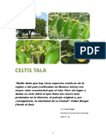Celtis Tala