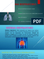 Sistema Respiratorio