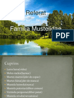 Fam Mustelidae