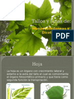 Tallos y hojas de mono y dico.pdf