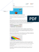 2 - Teoría Del Color$P