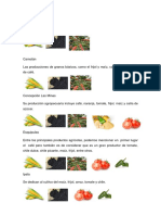 Chiquimulavultivos-Por-Municipio.pdf