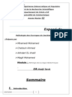 Pathologie Des Ouvrages de Souténement