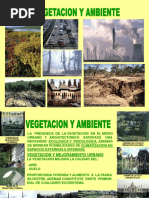 Vegetacion y Ambiente