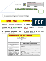 Guia - Hongos 2019 y Evaluacion