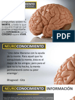 0 Neuroconocimiento, Entrenamiento Cerebral v1.pdf