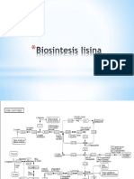 Biosintesis