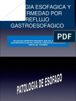 ERGE CORREGIDO nuevo.pdf