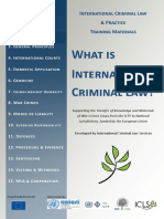 Module_2_-_International_Criminal_Law.pdf