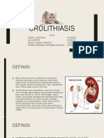 Urolithiasis