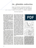 El Corazón, Glándula Endocrina PDF