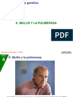 01 4BG 04 Mullis Polimerasa