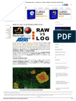 IMPRIMIR - Raw Vs Log. Cuestiones Prácticas - Norender - Com - Noticias, Tutoriales y Artículos Del Mundo Del Vídeo PDF
