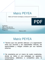 matriz peyea.pdf