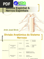 Medula Espinhal e Nervos Espinhais UFLA