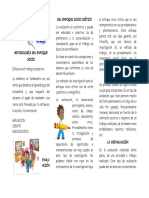 Enfoque Socio Critico PDF
