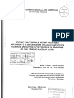 DionisioValdeciCarlos.pdf
