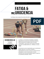 Fatiga y Neurociencia PDF