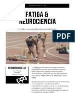 Fatiga y Neurociencia.pdf
