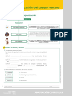 Adaptacion 1 123167 PDF