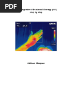 The Integrative Vibrational Therapy