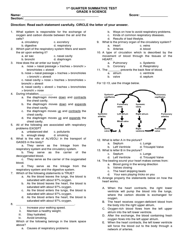 Grade 9 Science Quarter 1 Test | PDF | Circulatory System | Dominance ...