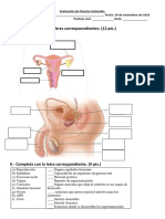 Sistema Reproductor