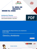 Ppt Enfoque Ciencia y Ambiente